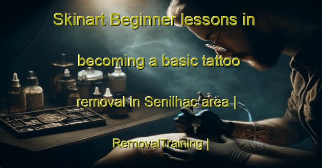 Skinart Beginner lessons in becoming a basic tattoo removal in Senilhac area | RemovalTraining | RemovalClasses | SkinartTraining-France